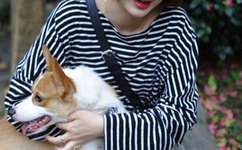 无码免费人妻A片AAA毛